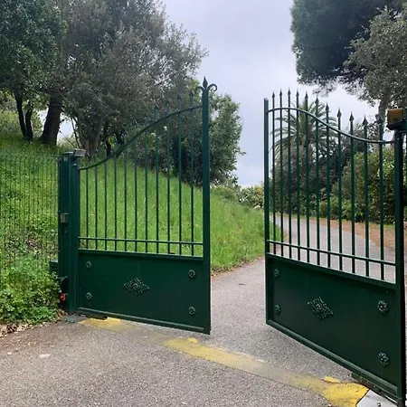 Villa Les 5 Palmiers *